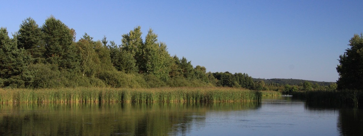 Aclari Jubiler Rybnik