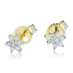 Kolczyki Ventego 0,10ct K0411ZB